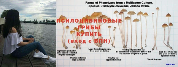 гашишное масло Богданович