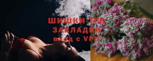 МДПВ Богородицк